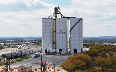 Best Safety Practices in Bulk Storage & Transloading