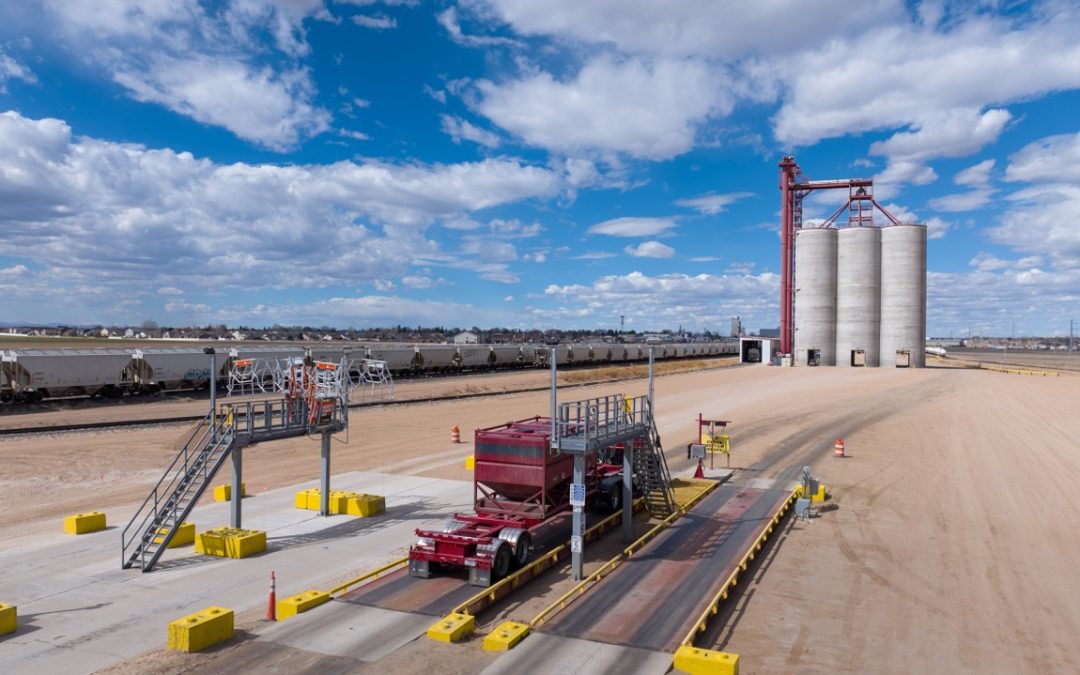 Predictive Analytics in Logistics: How Forecasting Keeps Freight Moving